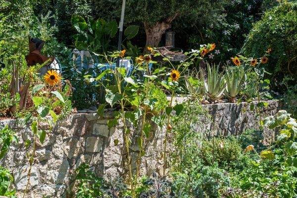 Kreta, Xamoudochori: Idyllische Residenz mit Apartments und Olivenhain zu verkaufen