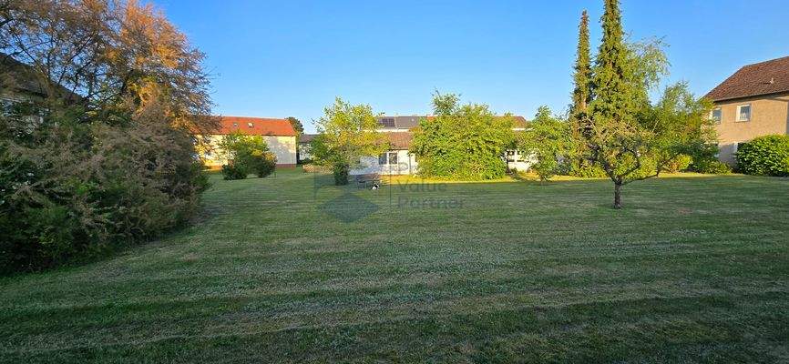 Direktes Umfeld im Sommer