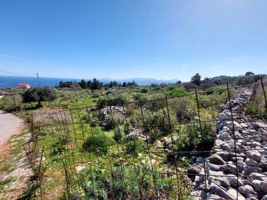 WhatsApp Image 2024-03-12 at 14.15.51_c82d4867.jpg