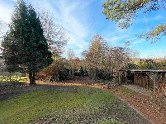 Ein Paradies für Kinder und Hunde