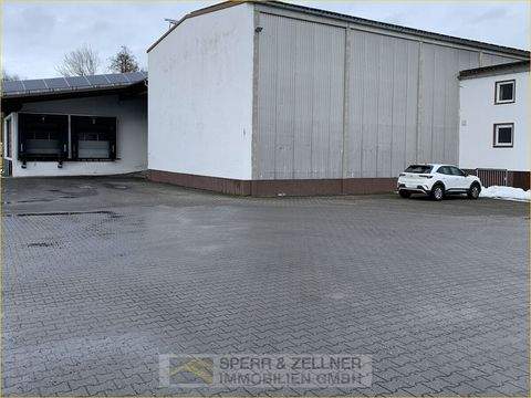 Dorfen / Schwindkirchen Halle, Dorfen / Schwindkirchen Hallenfläche