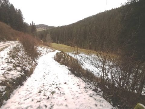 Sirnitz Bauernhöfe, Landwirtschaft, Sirnitz Forstwirtschaft