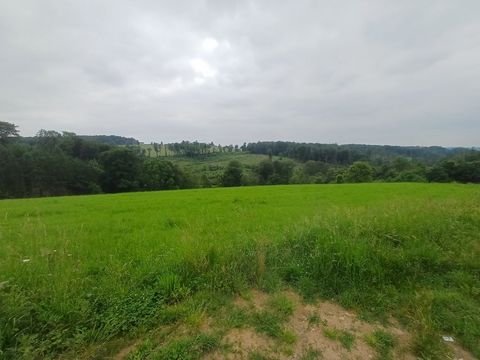 Ruppichteroth Grundstücke, Ruppichteroth Grundstück kaufen