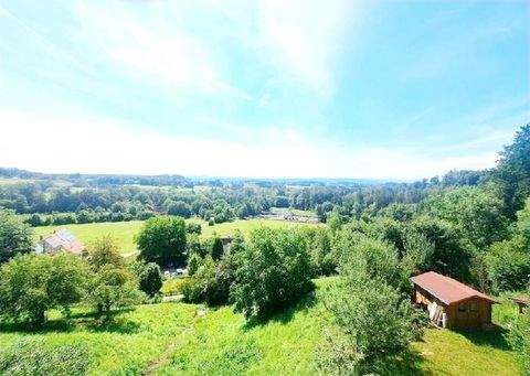 Wangen i. A. Wohnungen, Wangen i. A. Wohnung mieten