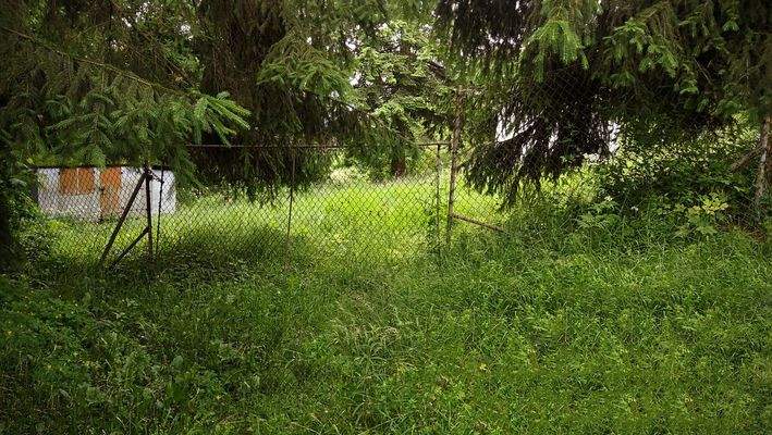 Geiersberg  – 98528 Suhl-Goldlauter