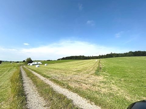 Kirchhaslach / Greimeltshofen Bauernhöfe, Landwirtschaft, Kirchhaslach / Greimeltshofen Forstwirtschaft