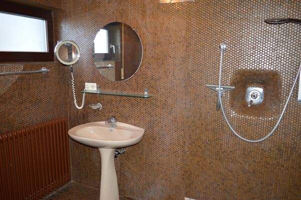 Tageslichtbad im EG mit WC u. Dusche