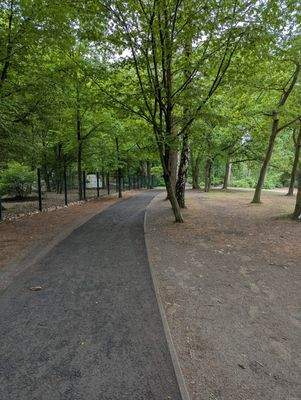 Natur in direkter Umgebung.jpg