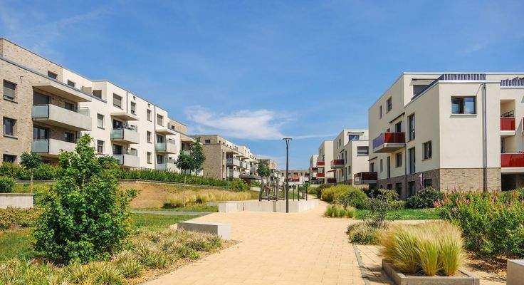 250617_Kleekamp_JS_180