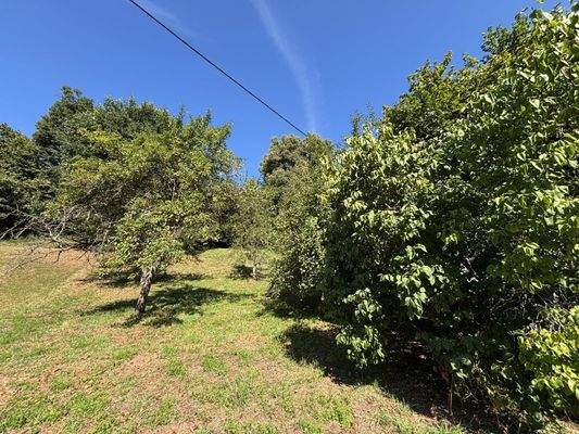 ... vom eigenen Haus ...