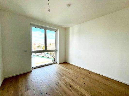 UR  (19) Viechtlgass