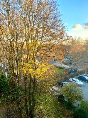 Blick vom Schlafzimmer zur Haus - Vorderseite und den Stellplätzen