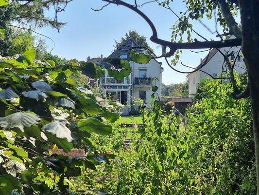 Rückansicht vom Ende des Gartens