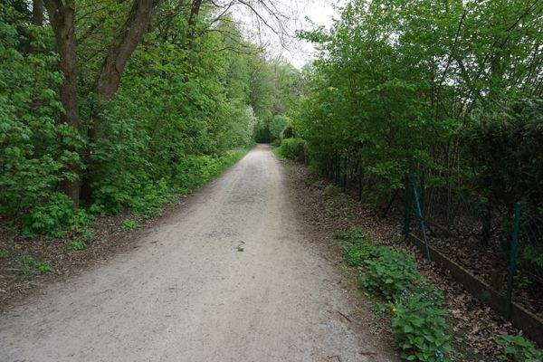 Waldweg angrenzend