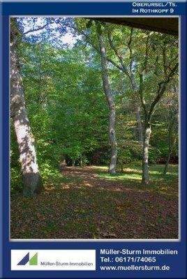 Oberursel  Im Rothkopf 9 16 Garten 1 Email