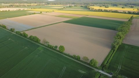 Stadthagen Bauernhöfe, Landwirtschaft, Stadthagen Forstwirtschaft