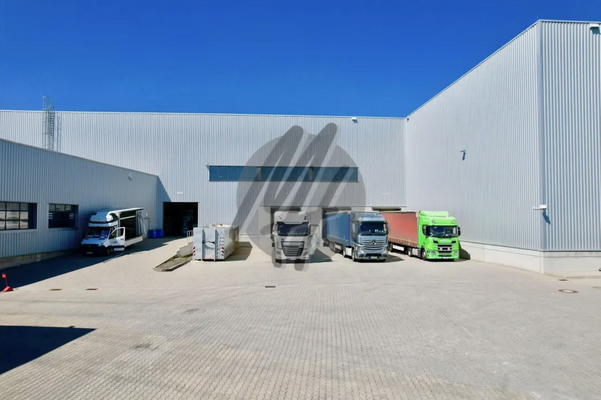 INFOS UNTER: 06171-586000