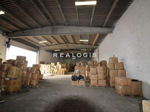 Düsseldorf Halle, Düsseldorf Hallenfläche