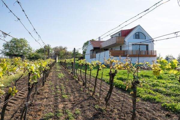 Kopie souboru DSC02269(1).jpg