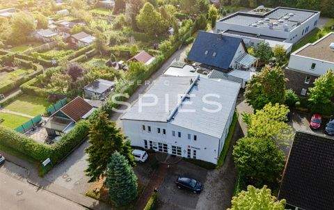 Oldenburg Halle, Oldenburg Hallenfläche