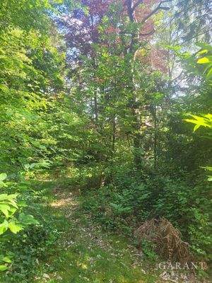 Ausschnitt Grundstück