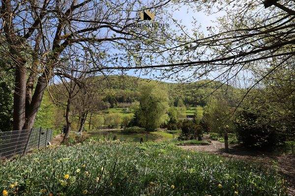 Spaziergang durch den Park...