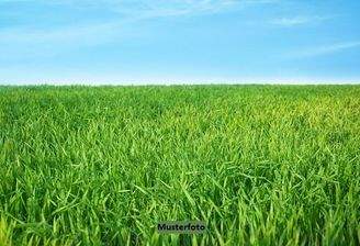 Keine Originalbilder