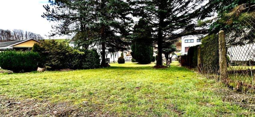 Blick Richtung Straße 