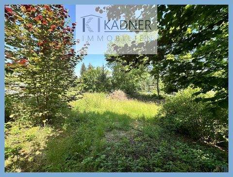 Plauen Häuser, Plauen Haus kaufen