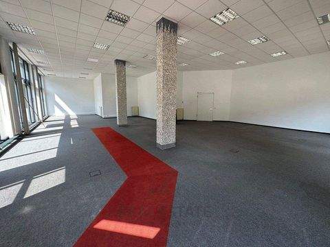 Hamburg Ladenlokale, Ladenflächen 