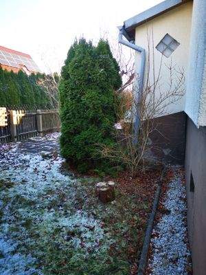 Gebäude,- Grundstücks- Ansichten (8).jpg