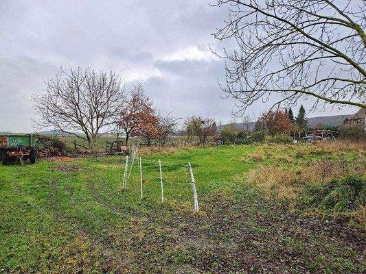 655eacb2-31e5-449e-a3e0-6b1e404a9f34-1935561456