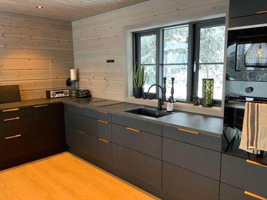  Hütte Skogstjerne Küche