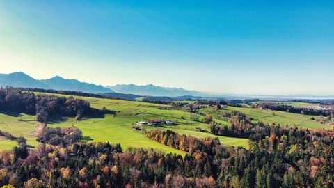 Traunstein Häuser, Traunstein Haus kaufen