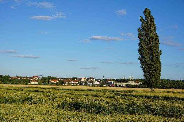 Naumburg (Saale).JPG