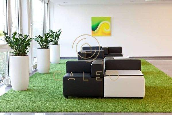 Innenansicht - Sofas 2