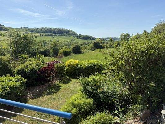 Der einzigartige Blick in die Natur