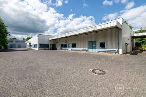 Neunkirchen-Seelscheid Halle, Neunkirchen-Seelscheid Hallenfläche