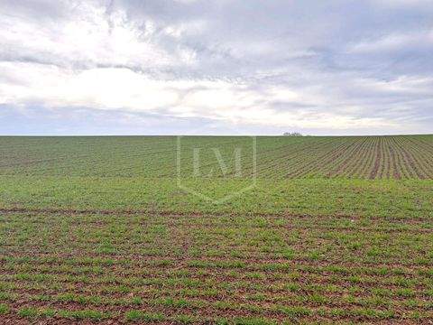 Seesen Bauernhöfe, Landwirtschaft, Seesen Forstwirtschaft