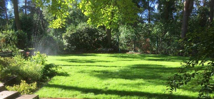 Sommerimpressionen Garten