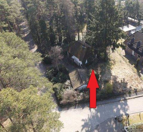 Bendestorf Häuser, Bendestorf Haus kaufen