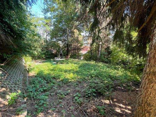 West-Garten mit Grillplatz