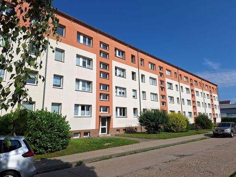 Greifswald Wohnungen, Greifswald Wohnung kaufen