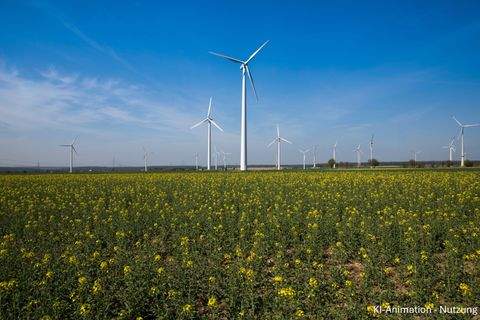 Gardelegen Bauernhöfe, Landwirtschaft, Gardelegen Forstwirtschaft