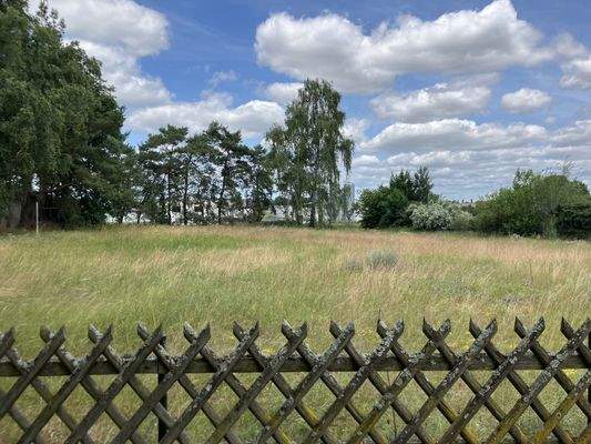 20250619_115005293_iOS