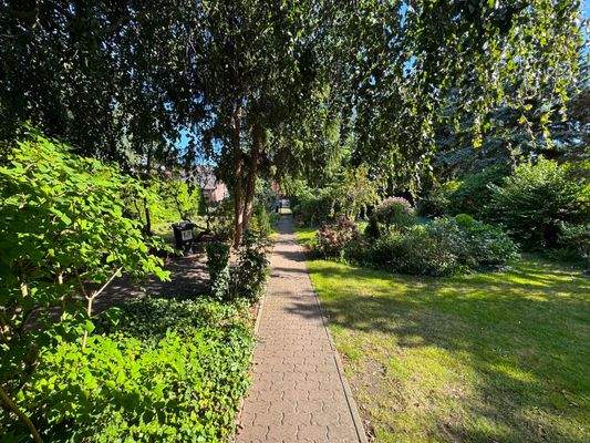 Blick Weg zur Straße.JPG