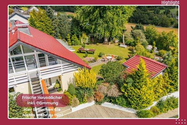 Highlight Groß  (2)