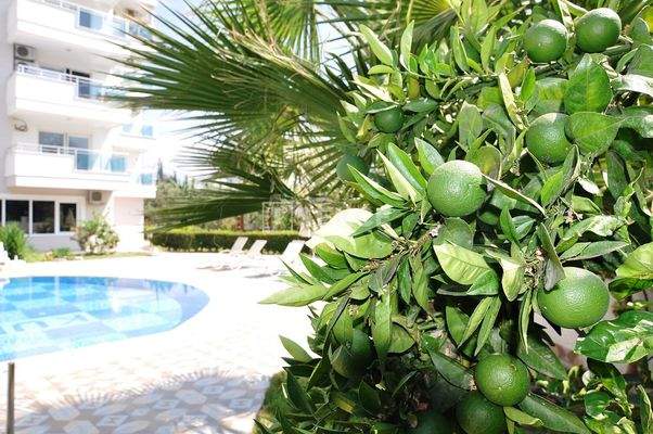 Flat in Complex with Pool 750 m from the Beach in Mahmutlar Alanya