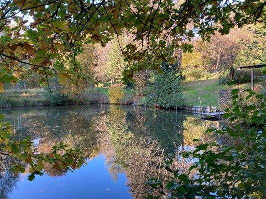 Alles spiegelt sich im Wasser.jpg