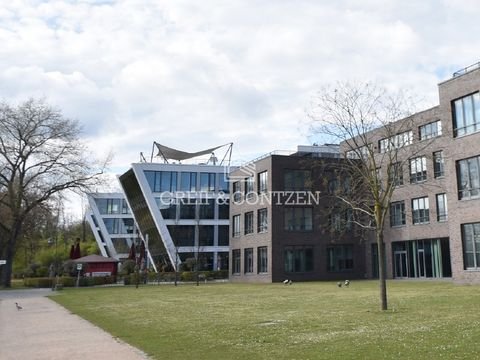 Bonn Büros, Büroräume, Büroflächen 